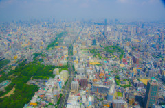 ハルカスから望む