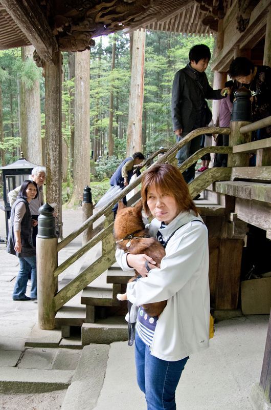 光前寺