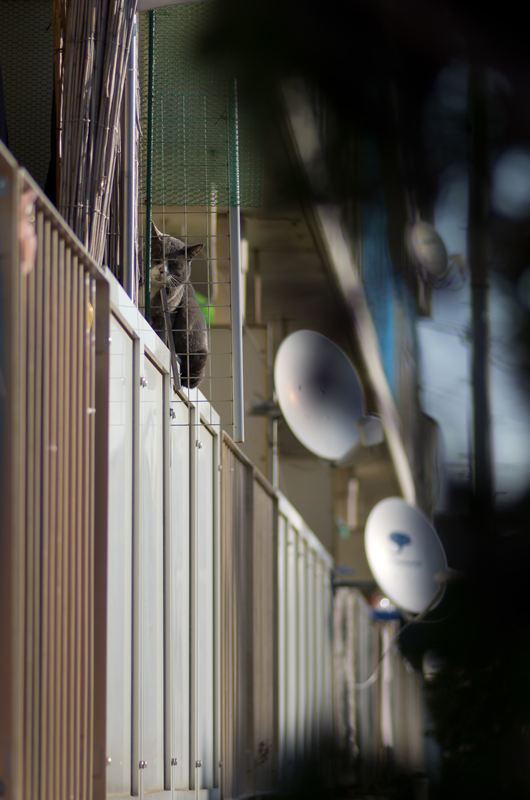 うたた寝