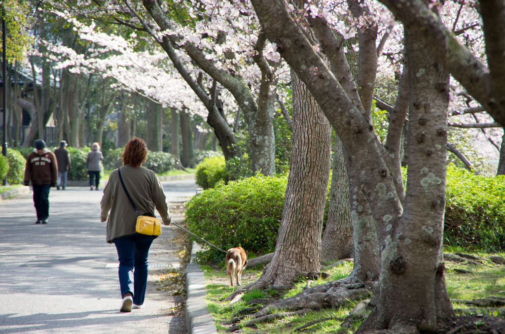 大池公園