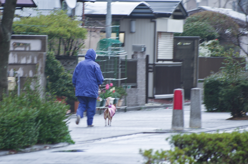 嵐の散歩