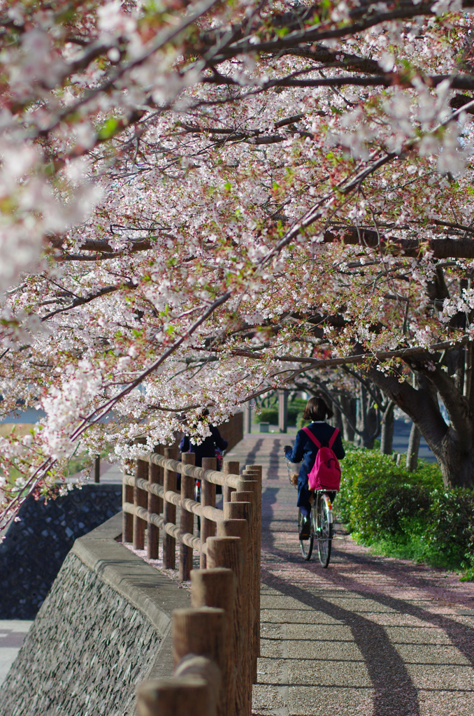 通学路