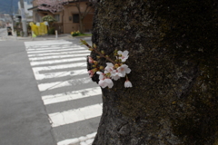 負けないで