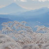 霧氷