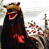 飯田お練祭り　阿智黒丑舞