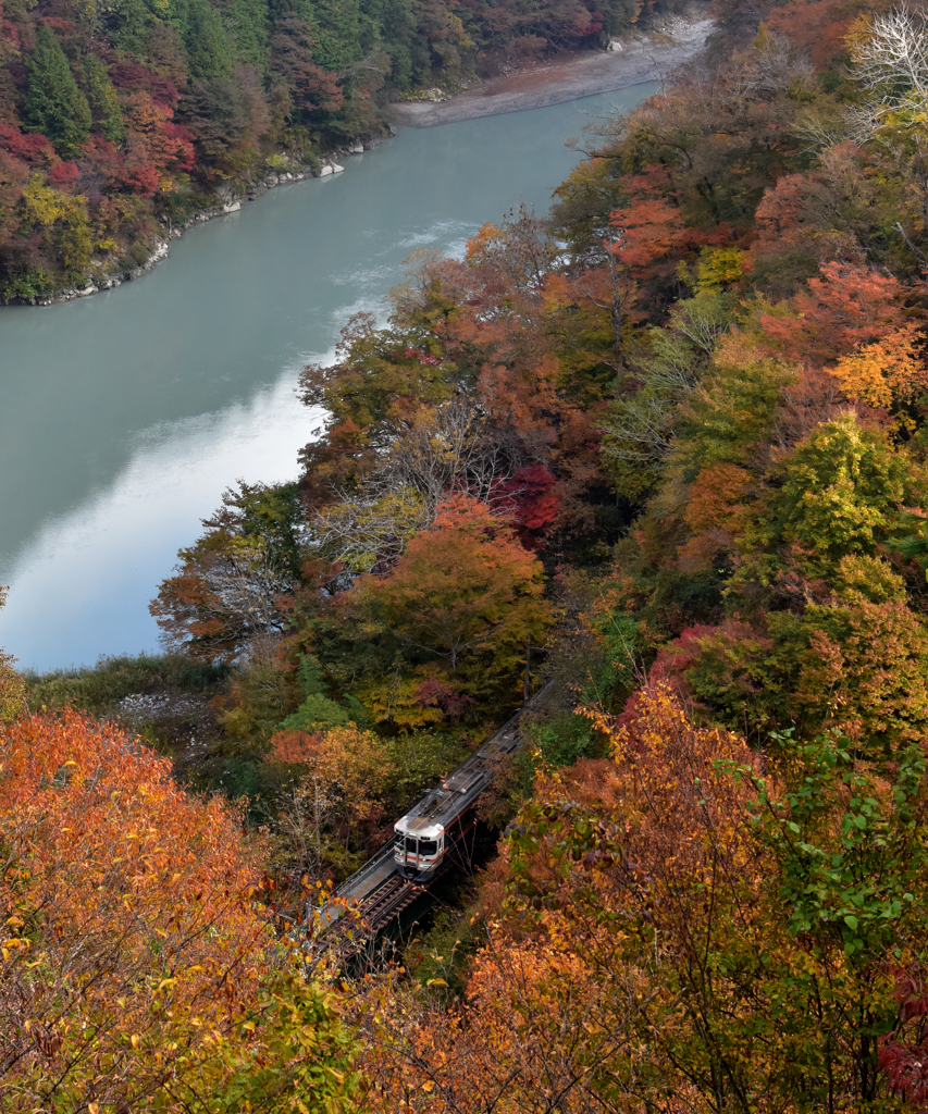 秘境鉄道の紅葉