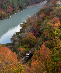 秘境鉄道の紅葉