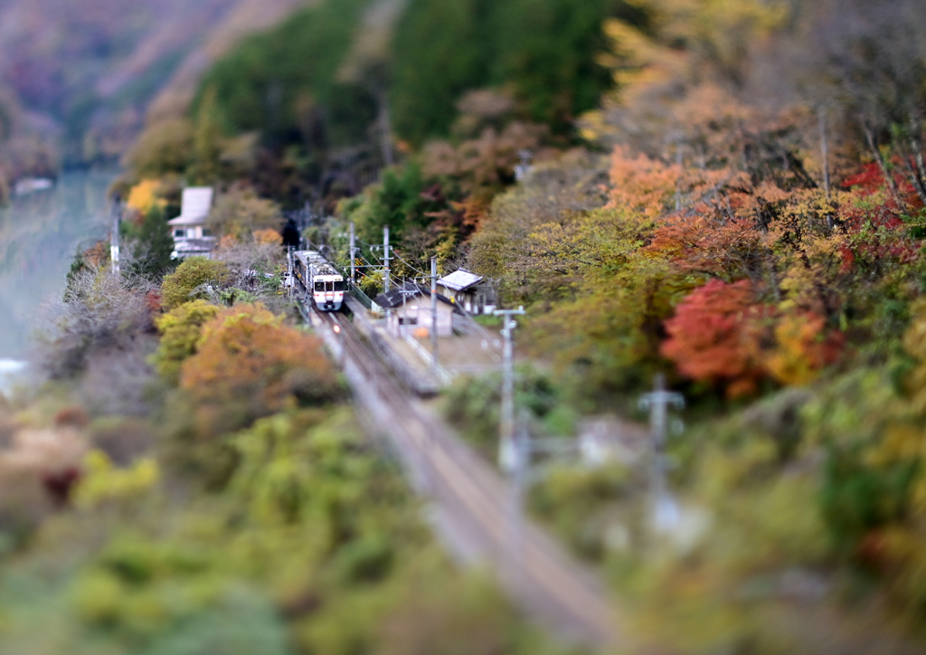 秘境駅の秋