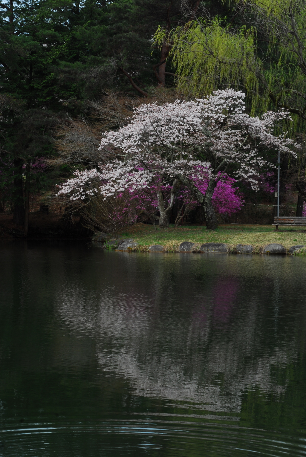 馬見塚公園