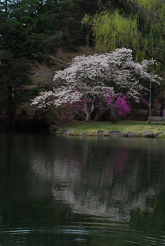 馬見塚公園