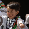 お練祭り　新田虎舞　子狐