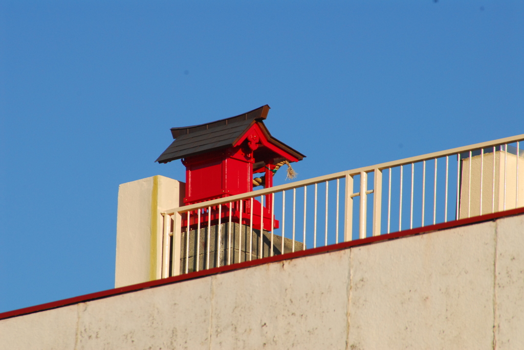屋上の社