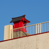 屋上の社