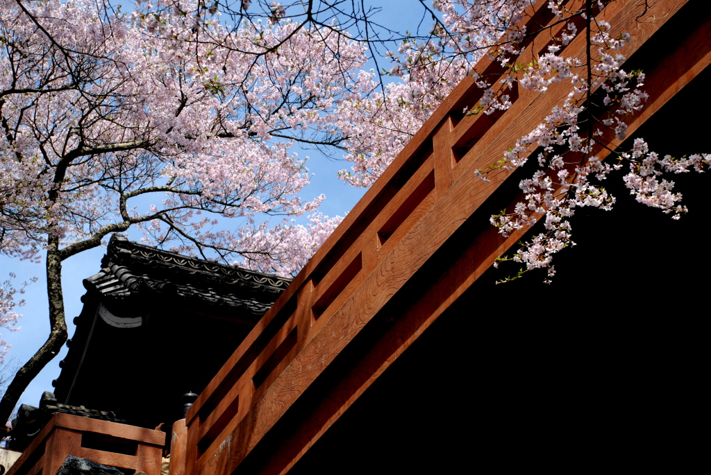 城址公園