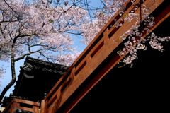 城址公園