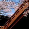 城址公園