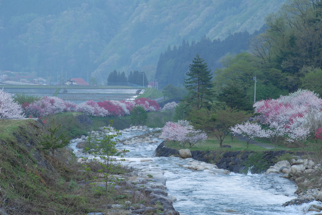 花桃の里