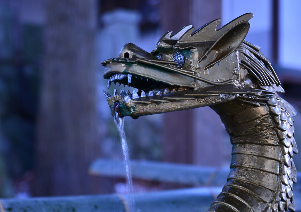 DRAGON