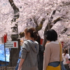 さくらアイス