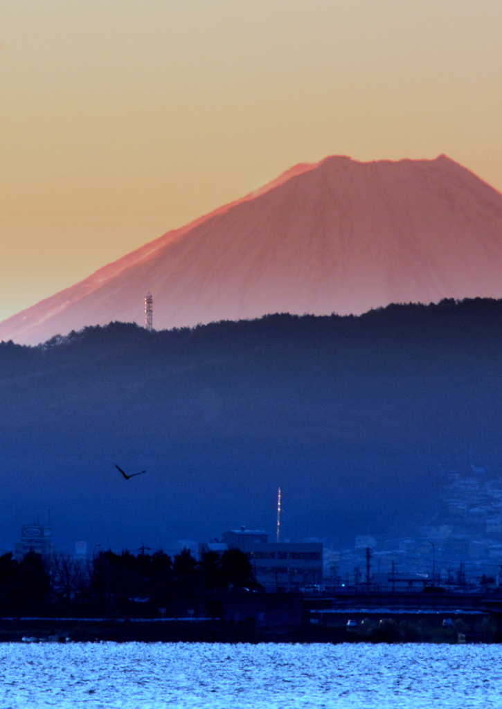 冬の朝