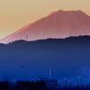 冬の朝