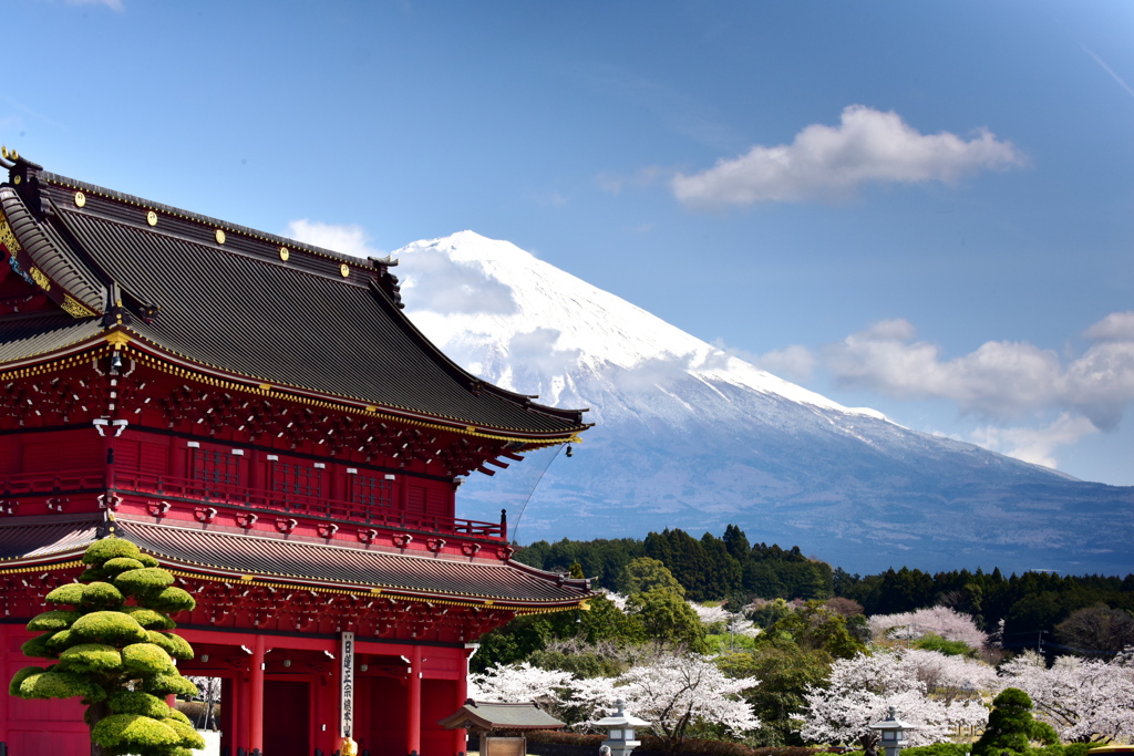 三門
