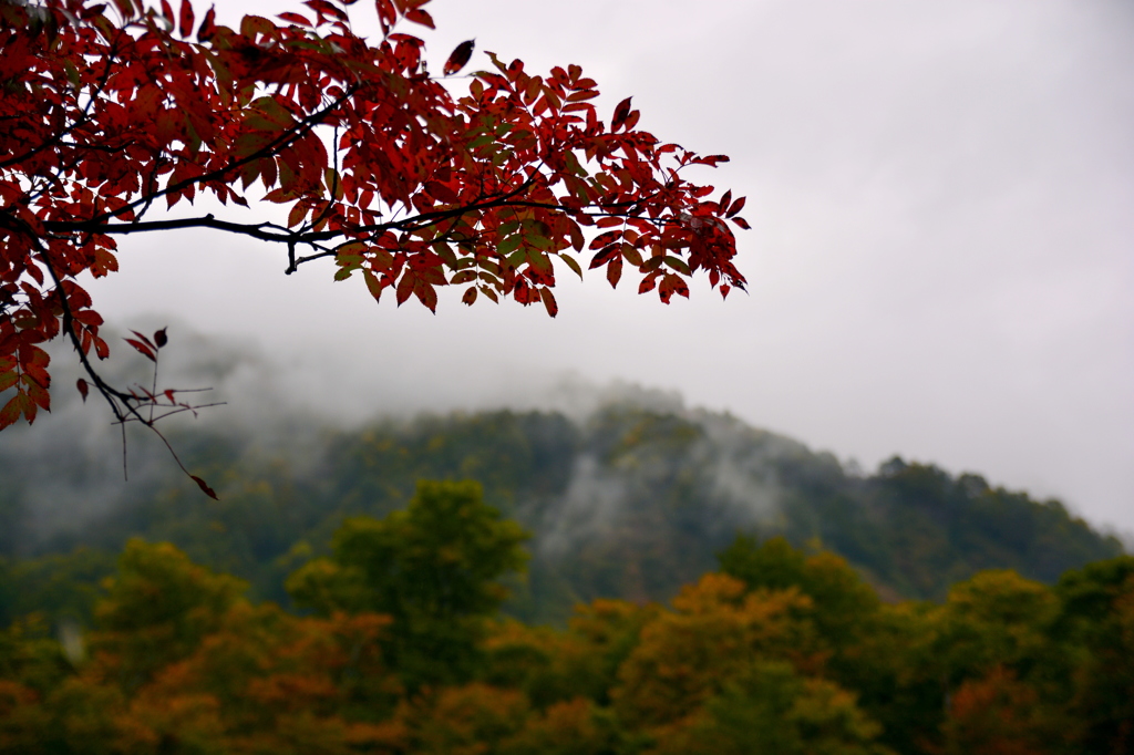 鎌池の秋　