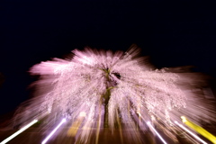 麻績の里舞台桜