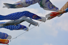 五月の空