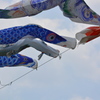 五月の空