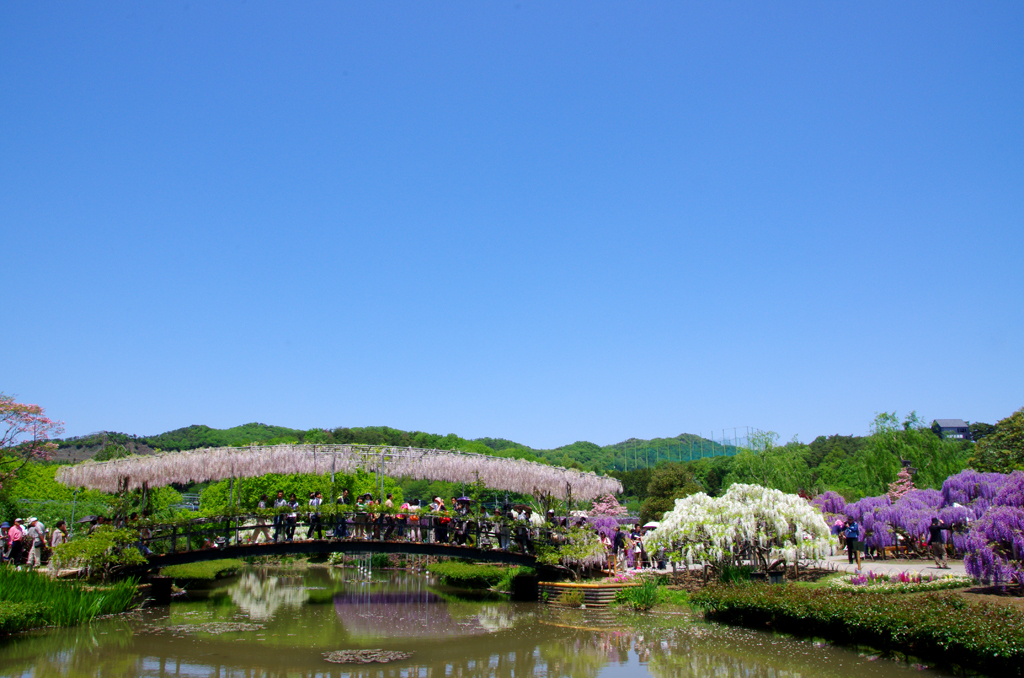 青い空！