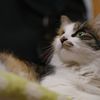 見つめる先には