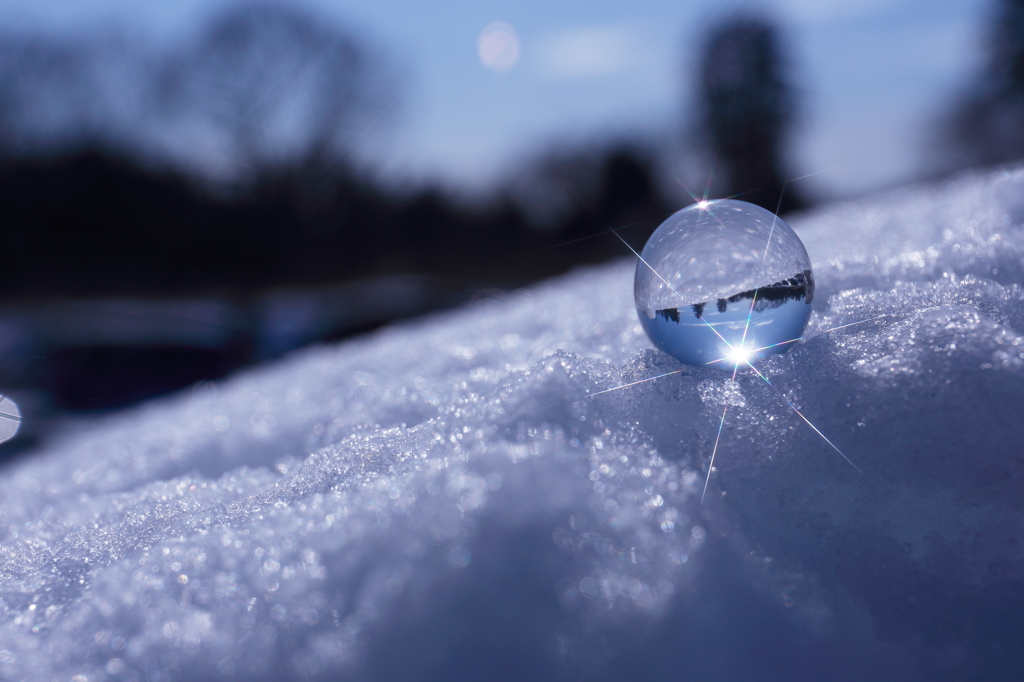 雪と太陽