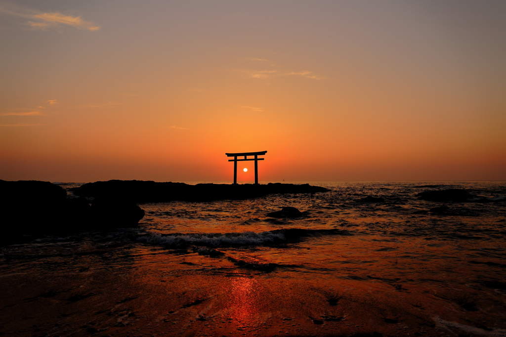 朝日を浴びて