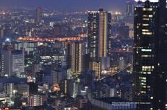 OSAKA NIGHT COLLECTION