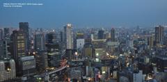 OSAKA NIGHT COLLECTION