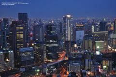 OSAKA NIGHT COLLECTION