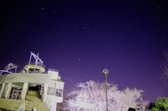 夜光