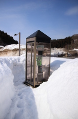 雪の中に