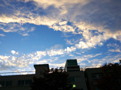雨上がりの．．．