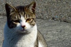 ん？