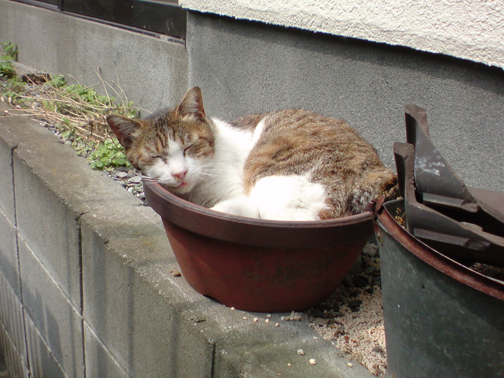 ☆お気に入り☆