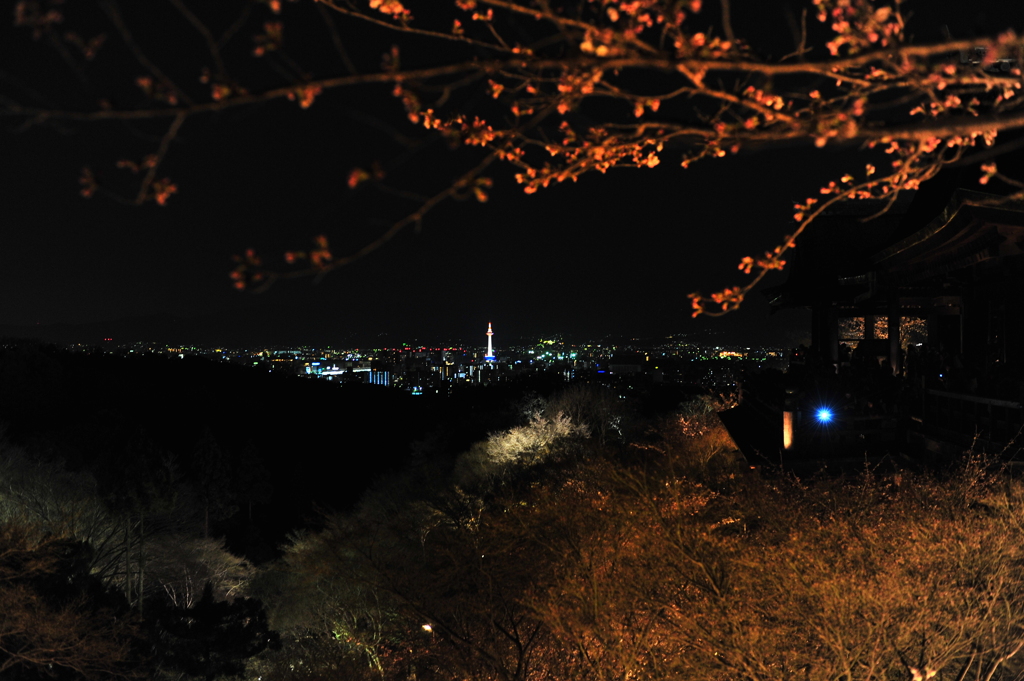 京都の旅【清水寺/ﾗｲﾄｱｯﾌﾟ】