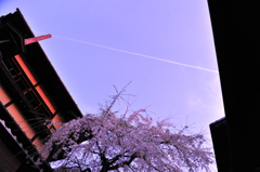 京都の旅【清水寺】