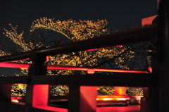 京都の旅【清水寺/ﾗｲﾄｱｯﾌﾟ】