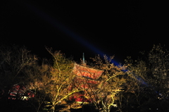 京都の旅【清水寺/ﾗｲﾄｱｯﾌﾟ】