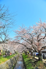京都の旅【哲学の道】