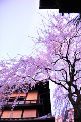 京都の旅【清水寺】