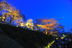 京都の旅【清水寺/ﾗｲﾄｱｯﾌﾟ】