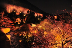 京都の旅【清水寺/ﾗｲﾄｱｯﾌﾟ】